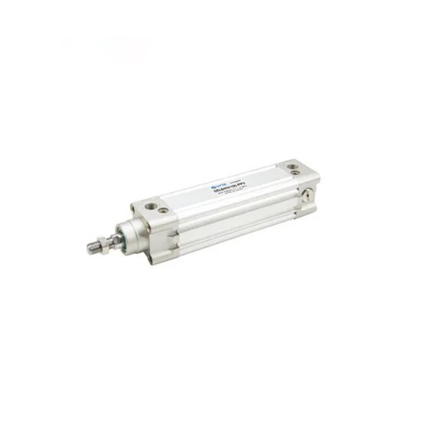 SE စီးရီး Standard Cylinder